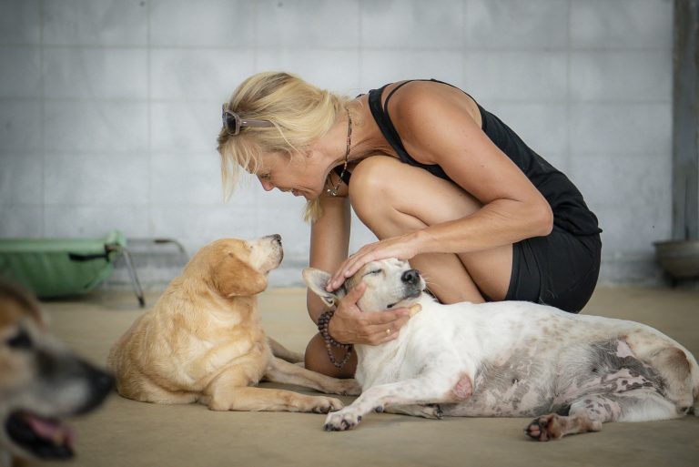 Annerieke Claassen zet zich in voor Thaise straathondenproblematiek