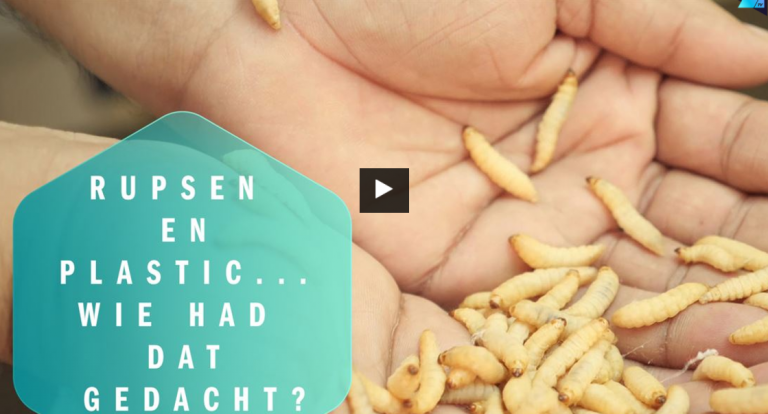 Deze rups kan onze planeet redden