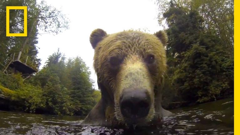 Beer speelt met camera