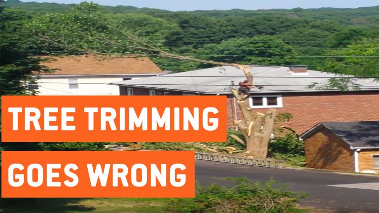 Boom omkappen gaat fout