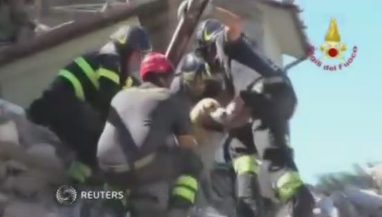 Hond gered tien dagen na aardbeving