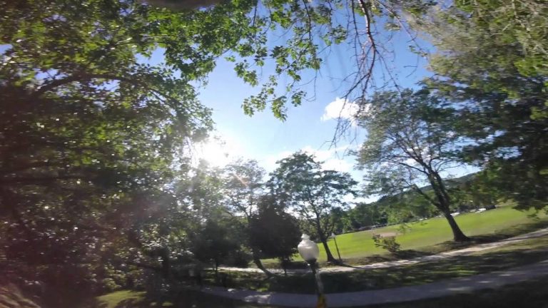 Eekhoorn steelt een GoPro