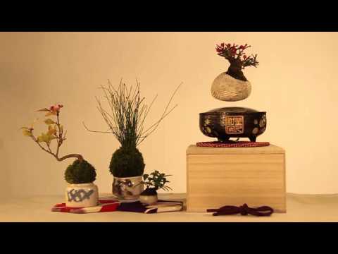 Een magnetische Bonsai boom