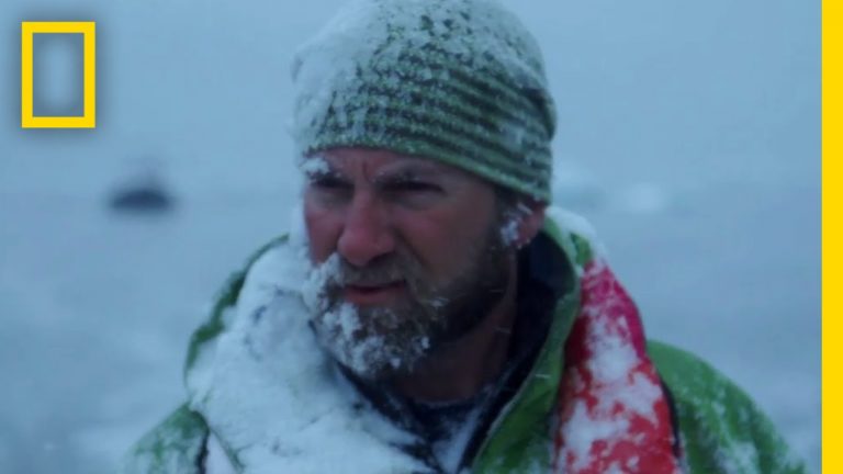 Hoe een ecoloog zijn tijd besteedt op Antartica