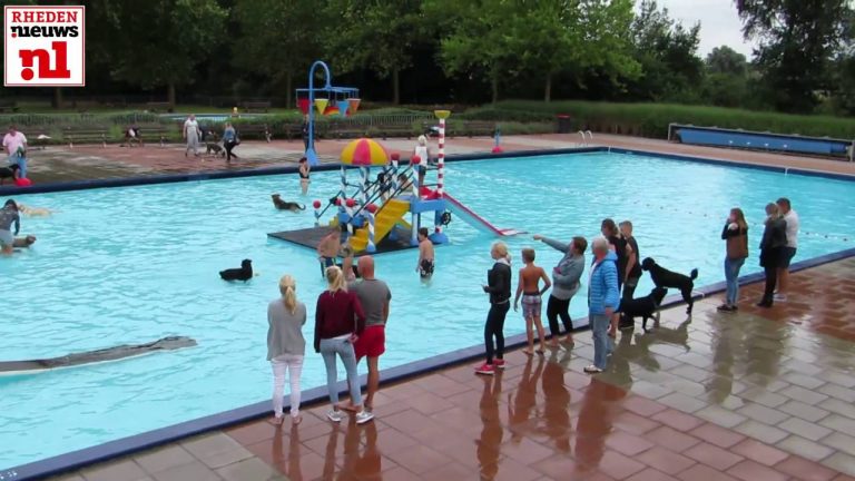 Honden zwemmen in Openluchtzwembad Rheden