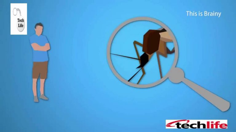 Sticker maakt je onzichtbaar voor muggen