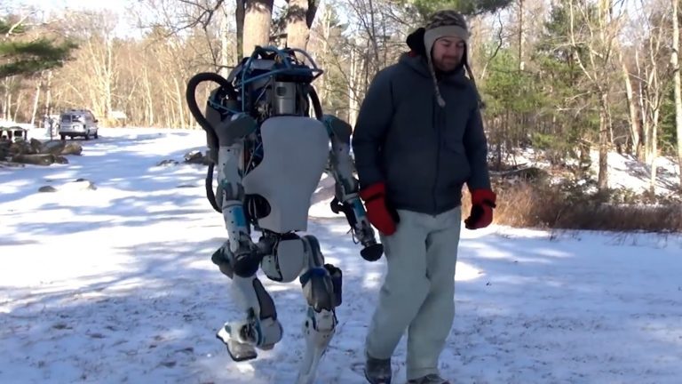 Vijf bijzondere robots