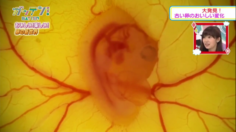 Schaalloos ei komt alsnog uit